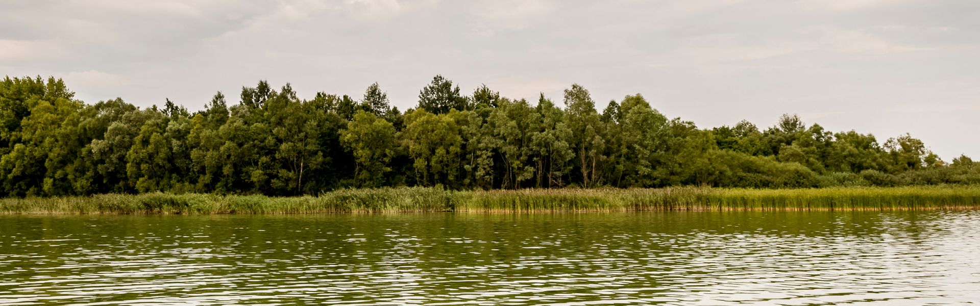Jezioro-Goplo