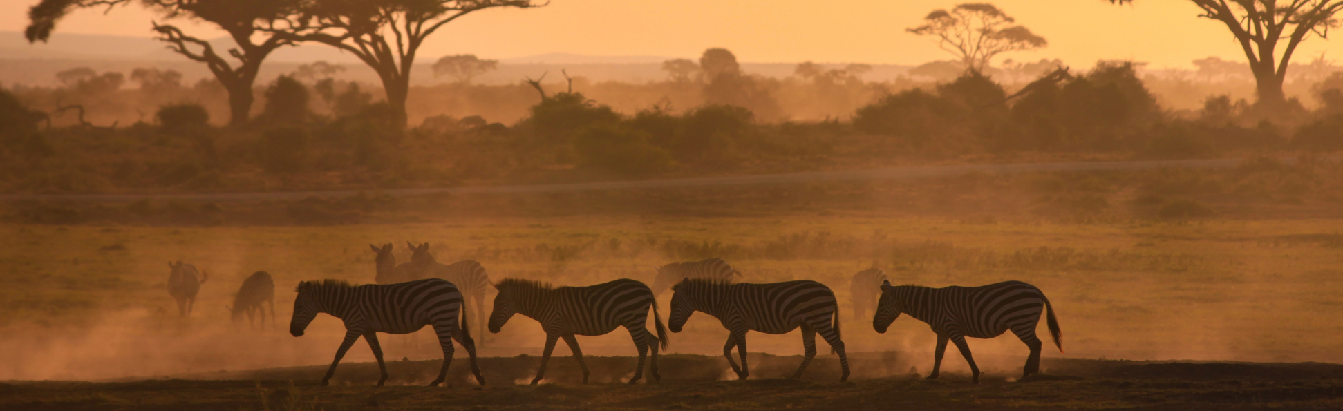 Kopia Kenia Afryka Safari (2)