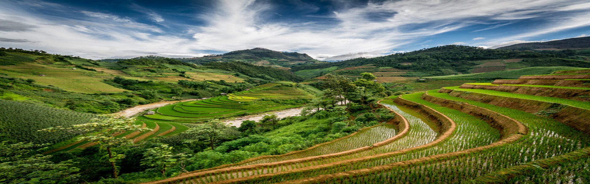 Rice fields on terrace of Mu Cang Chai, Yen Bai, Vietnam