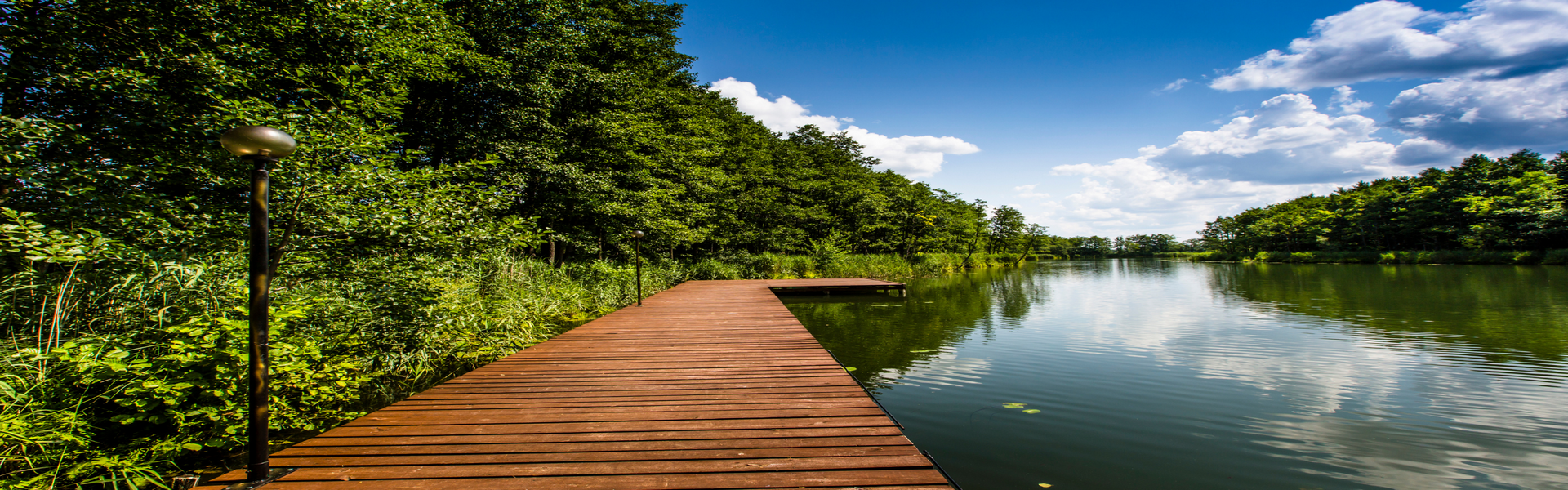 Wigierski Park narodowy, jezioro Wigry pomost (Kopiowanie)