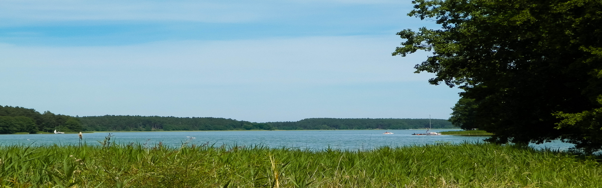 Bory Tucholskie, jezioro Wdzydze (Kopiowanie)