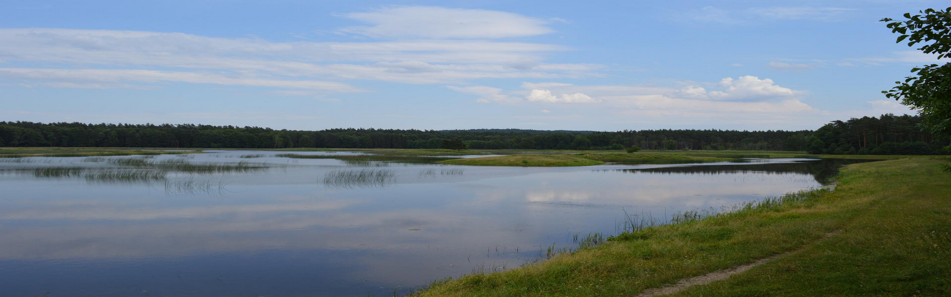 Roztoczański Park Narodowy, Stawy Echo, Zwierzyniec (Kopiowanie)