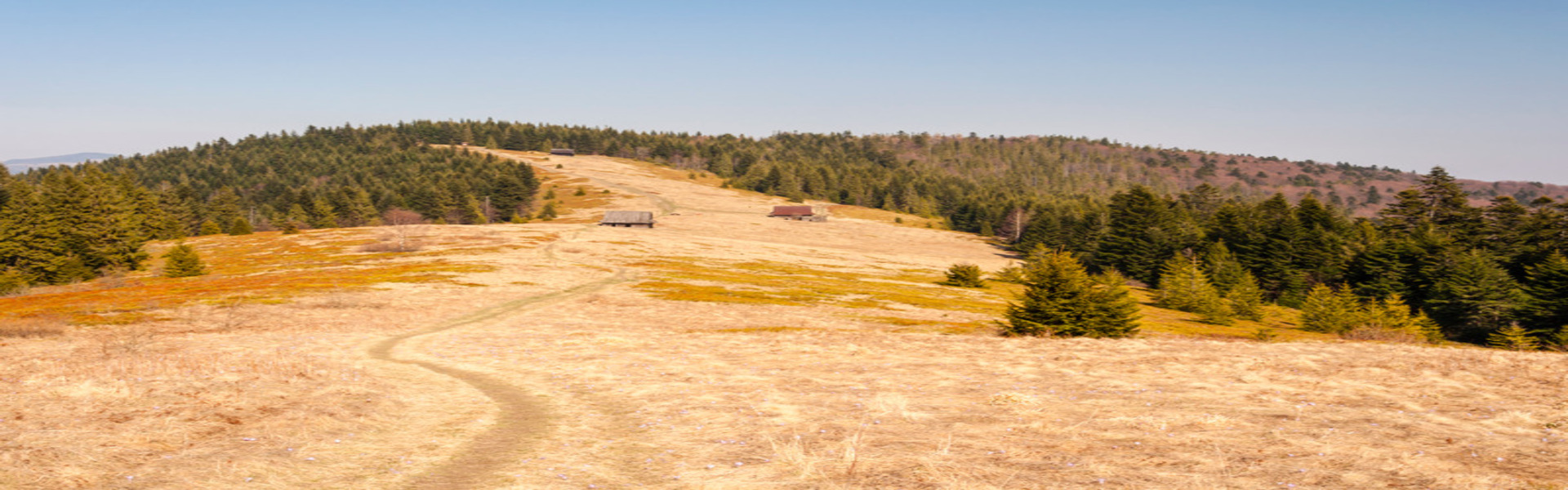 Early spring conditions in a clearing in the Gorce Mountains in Poland